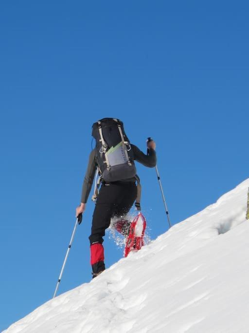 "Le Desman" Confortable T2 A La Montagne Face Aux Thermes Rando, Cure Aulus-les-Bains Extérieur photo