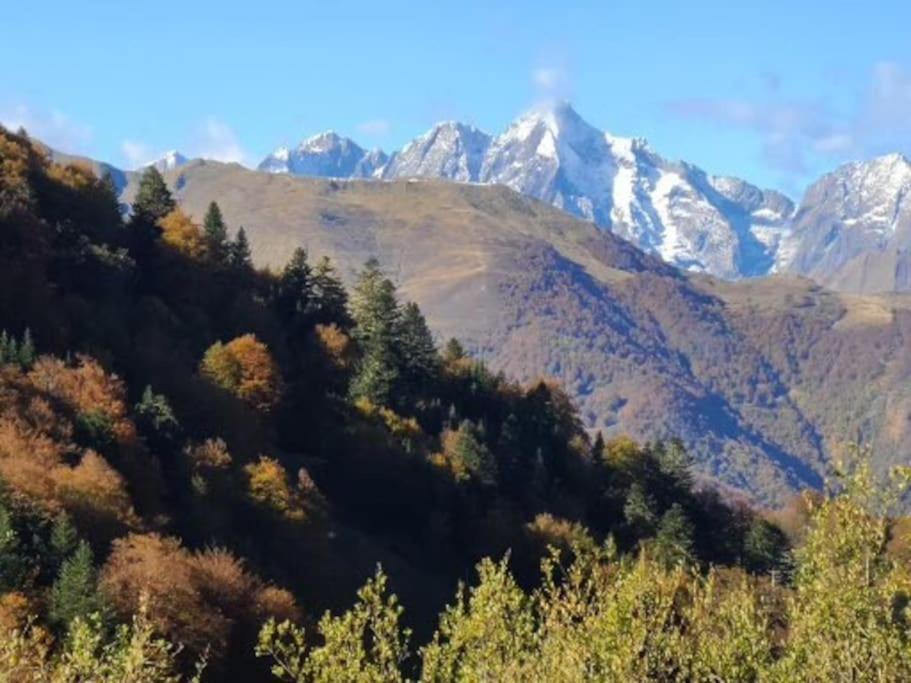 "Le Desman" Confortable T2 A La Montagne Face Aux Thermes Rando, Cure Aulus-les-Bains Extérieur photo