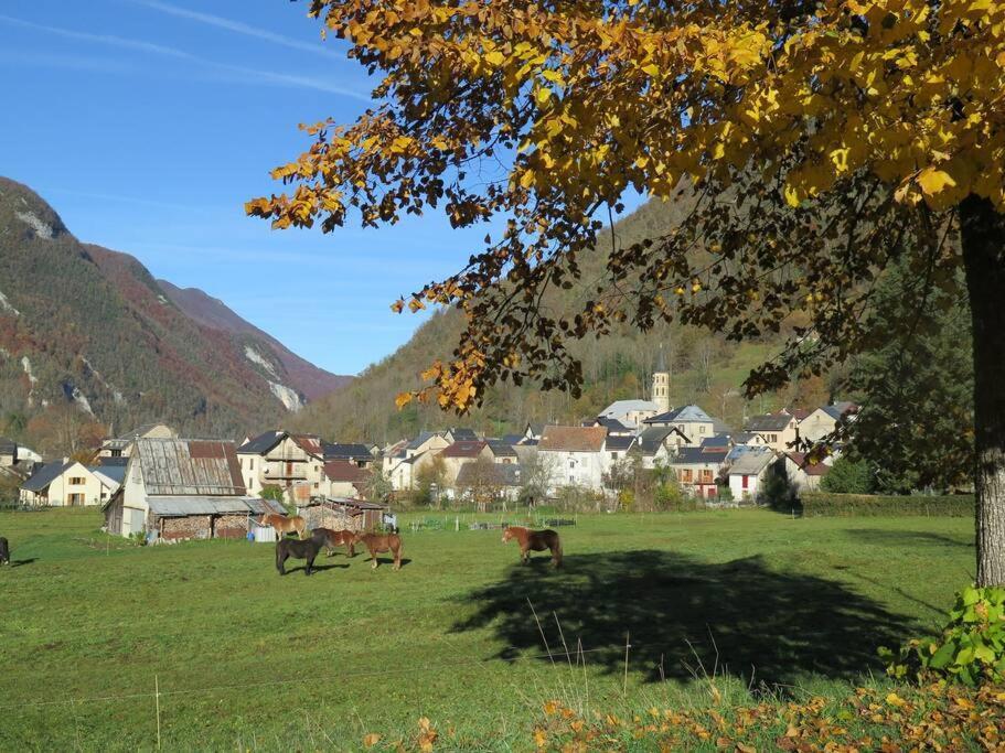 "Le Desman" Confortable T2 A La Montagne Face Aux Thermes Rando, Cure Aulus-les-Bains Extérieur photo